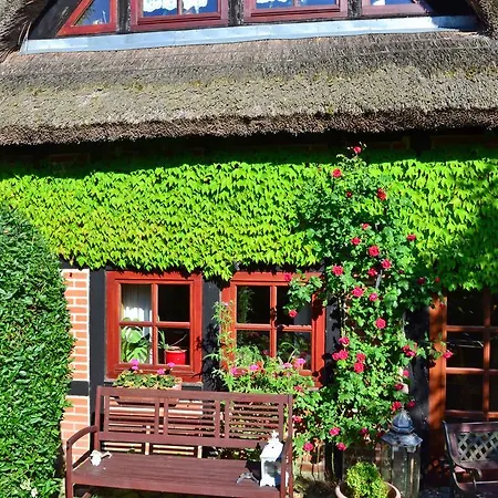 Appartement Ferienappartement Bauernrose *