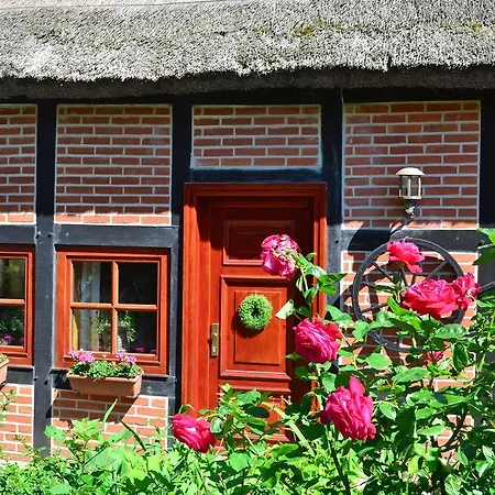 Appartement Ferienappartement Bauernrose Sellin (Rugen)